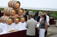 Vinařský catering